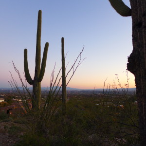 Tucson Metro Area – Goldsmith Real Estate