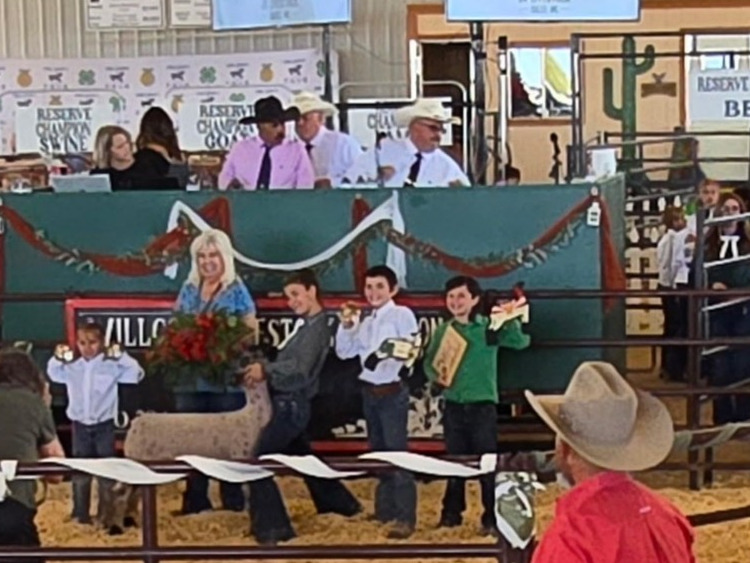 Pima County Fair Award 2025